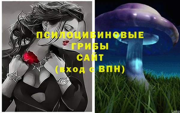 дмт Армянск
