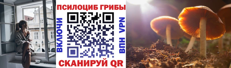 Псилоцибиновые грибы мухоморы  Богданович 